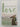 Surrounded by Love: Seven Teachings from St. Francis by Murray Bodo O.F.M.
