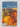 Cordon Bleu : Preserving by Cordon Bleu Cookery School