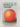 A Ladybird Book About Trump (Ladybird for Grown-Ups) by Jason Hazeley,Joel Morris