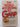The World According to Garp by John Irving