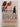 Betraying Hitler: The Story of the Most Important Spy of the Second World War by Lucas Delattre