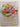 Grow your own Wedding Flowers: How to grow and arrange your own flowers for all special occasions by Georgie Newbery