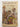 Trees and Shrubs of New Zealand by A. L. Poole,Nancy M. Adams