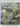 Private Gardens of New Zealand, Auckland by Gil Hanly, Deborah Telford