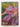 Growing Bromeliads by Bromeliad Society of Australia