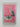 Discovering the Folklore of Birds and Beasts (Shire Discovering) by Venetia Newall
