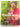 Alan Titchmarsh How to Be a Gardener Book Two by Alan Titchmarsh