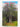 King Kauri: Tales & Traditions of the Kauri Country of New Zealand by Gordon Ell