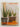 Hip Houseplants by Orlando Hamilton,Gillian Emerson-Roberts