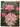 Growing Rhododendrons and Azaleas in New Zealand by Geoff Bryant