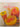 Complete Indian Cooking by Hamlyn Publishing Group Staff