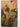 Print Books - The Queen's Fool by Philippa Gregory - Book Express