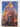 The Western Wizard by Mickey Zucker Reichert