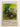 Galapagos:The Flow of Wildness Volume 2 by Kenneth Brower (Editor)