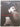 Femme Fatale: Famous Beauties Then and Now by Serge Normant,Bridget Foley,Michael Thompson