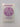 Peacemaking: Day by Day Daily Readings by Pax Christi USA