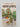 Rooftop & Patio Vegetable Gardening by Rex E. Mabe,Rebecca Gabriel