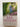 Print Books - Wild Orchids by Jude Deveraux - Book Express