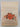 Print Books - Sugar Flowers from Around the World by Nicholas Lodge - Book Express
