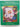 Quick and Easy Cross Stitch Designs Inspired by Your Garden by Anne,Michael Lane