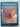 Print Books - The Noble Cat: Aristocrat of the Animal World by Howard Loxton - Book Express