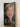 Ellen: The Real Story of Ellen DeGeneres by Kathleen Tracy