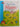 Print Books - Mazes by Jessica Greenwell - Book Express