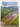 Environmental Management: Volume 8 Number 3 by Unknown