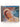 Around the World [CD] by Caterina Valente