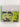Good Humor [CD] by Saint Etienne