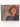 Shirley Bassey: Sings the Songs of Andrew Lloyd Webber [CD] by Shirley Bassey