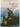 Earth's Last Frontiers: A History of Discovery and Exploration by THAYER WILLIS