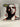 Thank Me Later [CD] by Drake