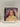 Contra [CD] by Vampire Weekend