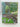 The Oxford Companion to Gardens by Geoffrey Jellicoe,Susan Jellicoe,Patrick Goode,Michael Lancaster