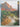 Zion: sanctuary in the desert by Nicky Leach