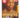 Nelson Mandela [DVD] by