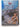 Whakarewarewa: The Thermal Village [DVD] by