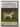 A Complete Guide to Caring for your Dog [DVD] by
