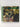 Charlie Parker [CD] by Charlie Parker