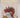 Chickenfeed by Minette Walters