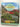 The New Zealand Garden: planting, design & style, care & maintenance by Jane Edmanson,Lorrie Lawrence