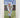 Think & Play Better Bowls by Mark de Lacy, Peter Belliss