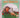 Winning Snooker with Eddie Charlton by Eddie Charlton