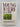 Young Kauri, 1875-1975: Personal recollections of Sir Alfred Hamish Reed CBE by A. W Reed