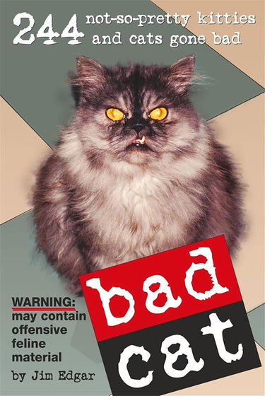 BAD CAT [Paperback] cover image