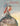 The West and the Map of the World: A Reappraisal of the Past cover image