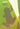 The National Strategy for the Conservation of Australia's Biological Diversity cover image