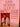 Every Woman's Guide to Breast Cancer by Vicki Seltzer (1987-08-05) cover image