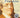 Benjamin Franklin: An American Life cover image